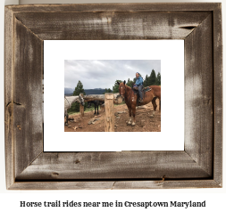 horse trail rides near me in Cresaptown, Maryland